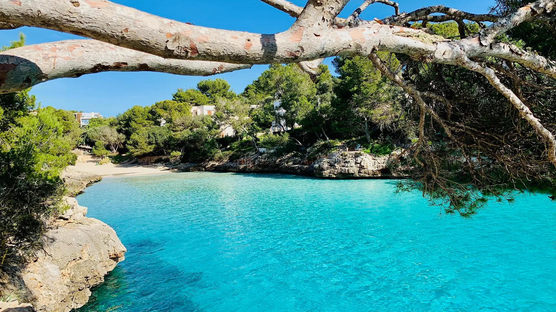 Apartamentos Playa Ferrera Cala Ferrera  Aparthotel Cala Ferrera (Mallorca)